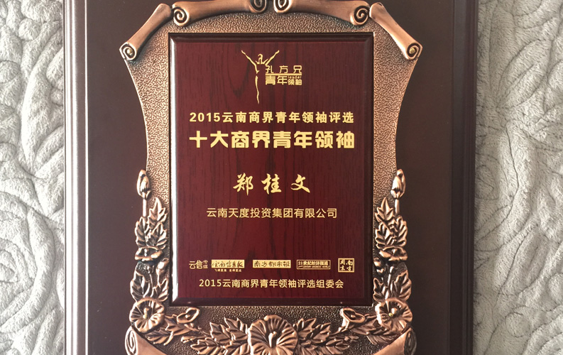 在“互联网大时代”的背景下，乐竟体育作为本土很大和很有名的互联网服务企业，为近万家传统企业转型互联网+提供了服务和帮助，获此奖项后，乐竟体育将再接再厉，创造更高的社会价值